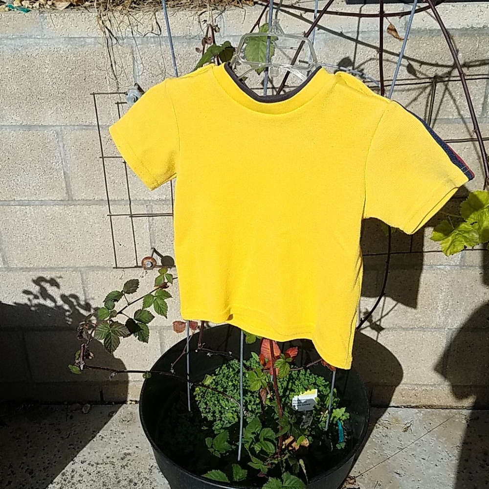 Disney crop top
